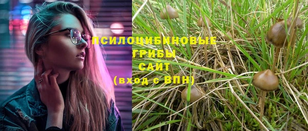 spice Бугульма