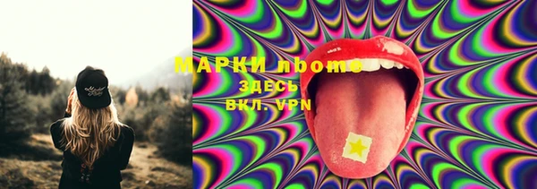 PSILOCYBIN Богданович