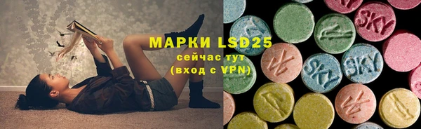 spice Бугульма