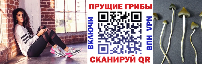Галлюциногенные грибы Magic Shrooms  Коркино 